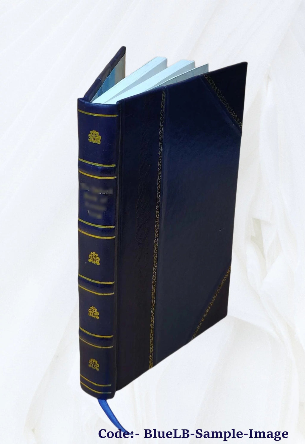 1903 Leather Bound Americana Catalogue O229