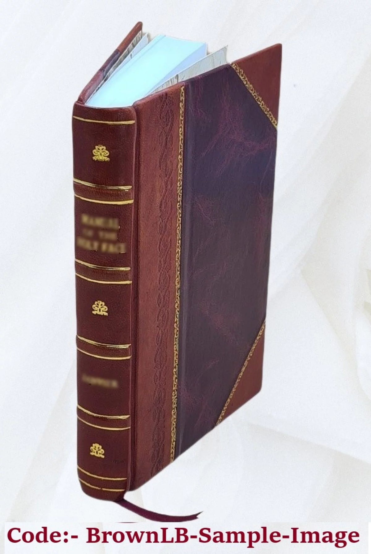 1903 Leather Bound Americana Catalogue O229