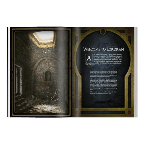 Dark Souls Role Playing Game V400443
