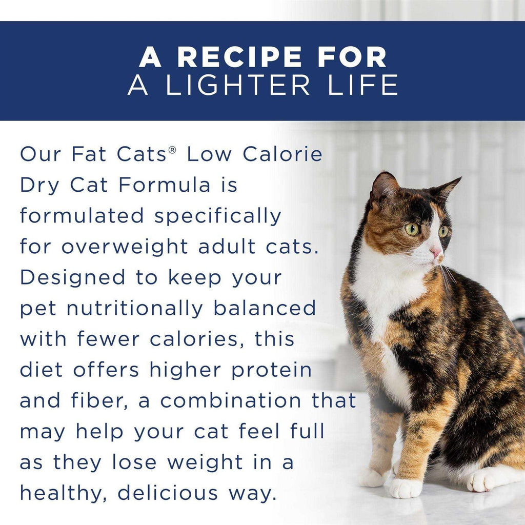 Adult Dry Cat Food I5571