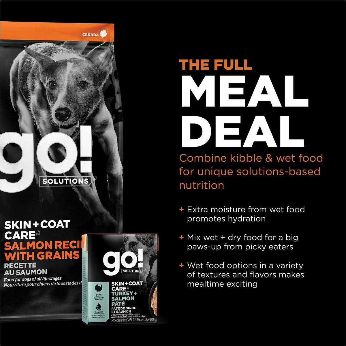 Salmon Recipe Dry Dog Food C5880