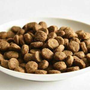 Salmon Recipe Dry Dog Food C5880