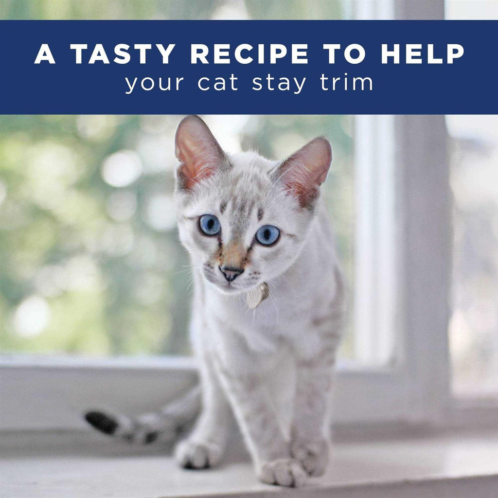 Adult Dry Cat Food I5571