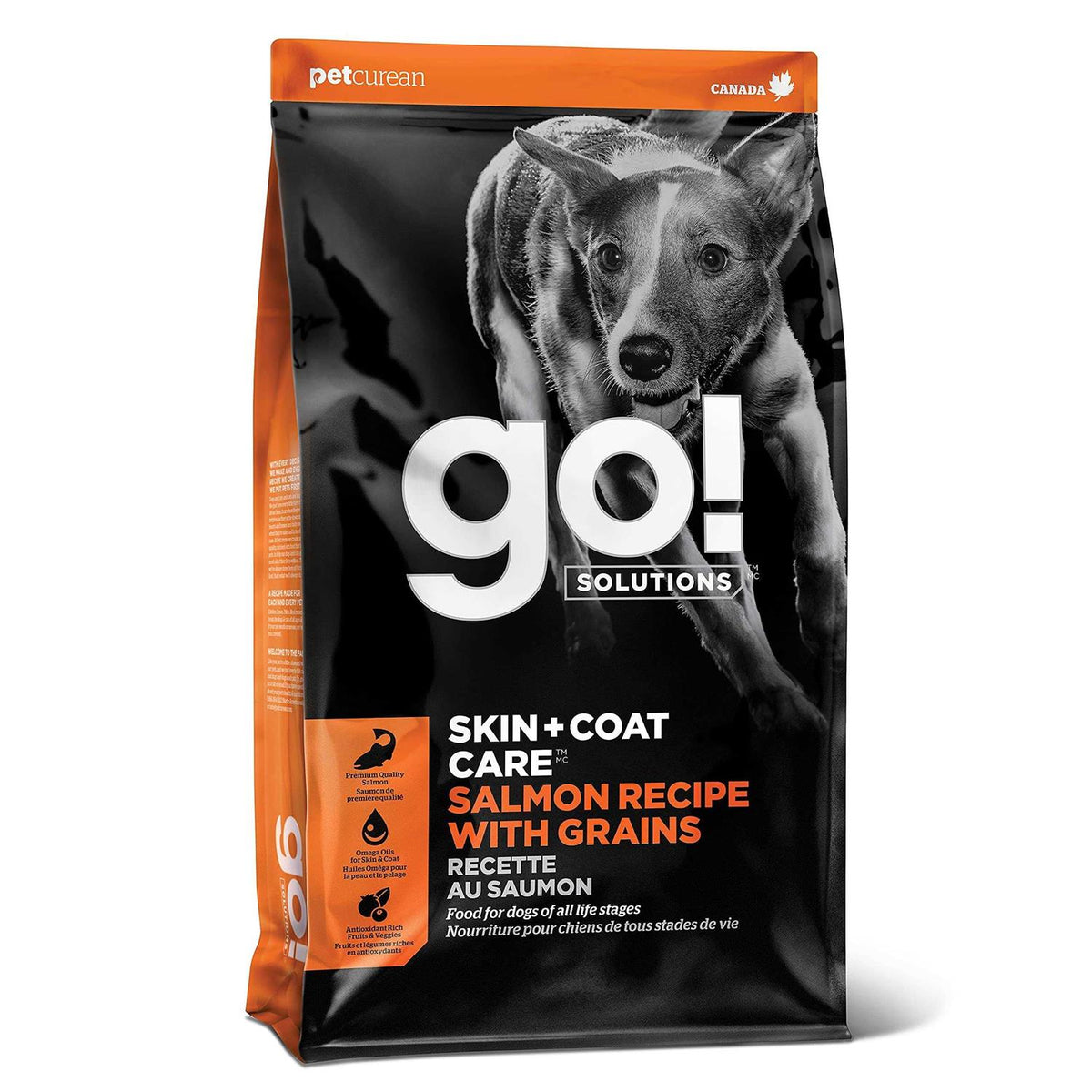 Salmon Recipe Dry Dog Food C5880