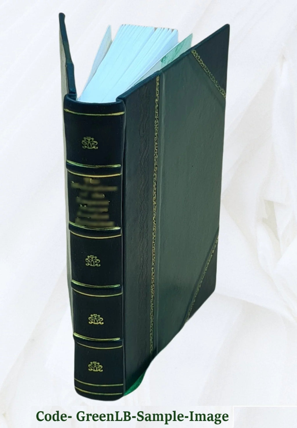 1903 Leather Bound Americana Catalogue O229