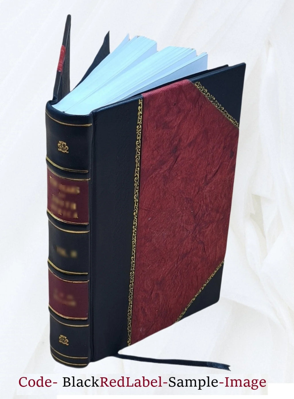 1903 Leather Bound Americana Catalogue O229
